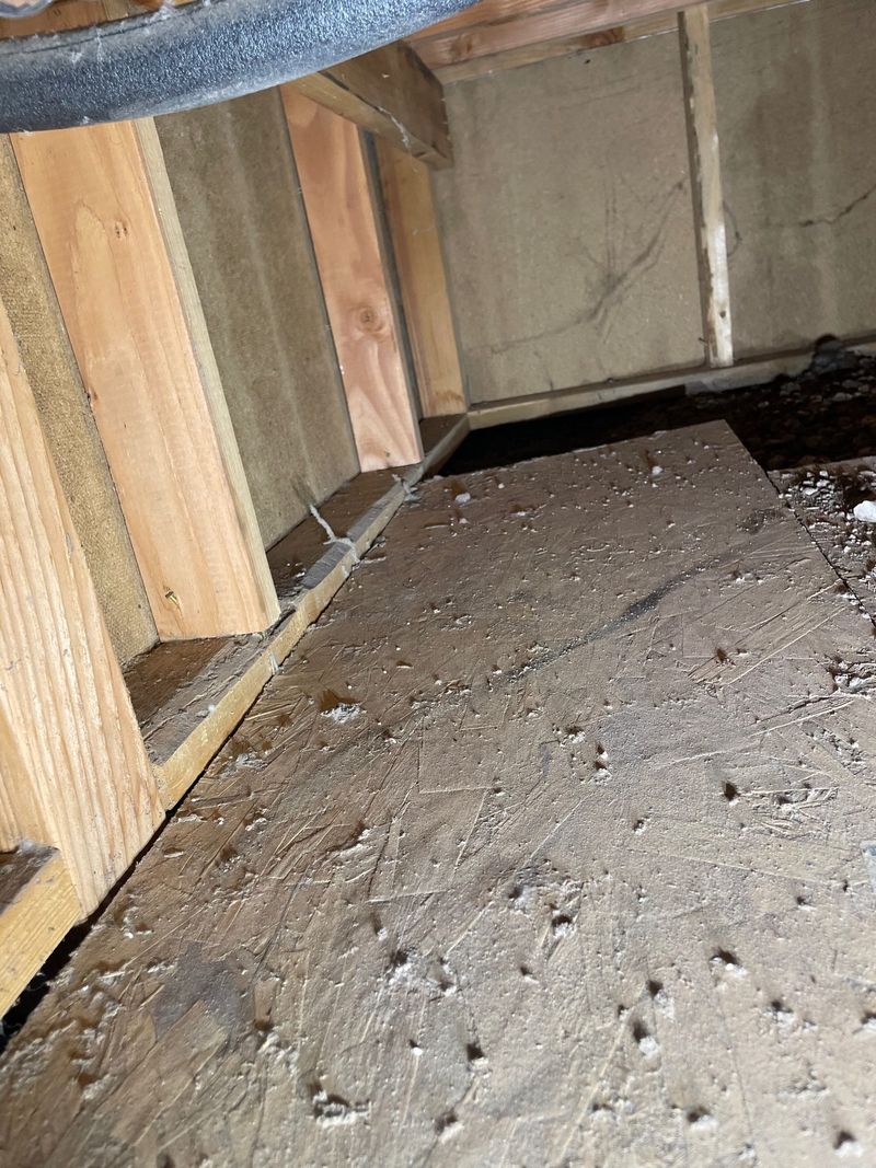 7 Signs of Mice in Your Arizona House & How to Safely Clean Up