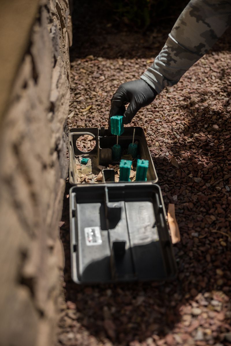Gila Valley Home Maintenance for Pest Prevention | Hydra