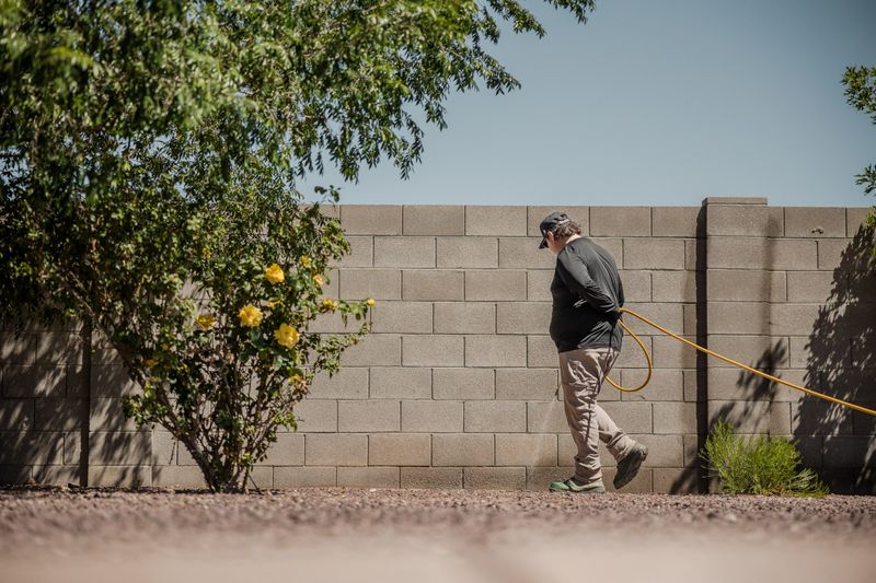 Gila Valley Pest Control Guide | Hydra Pest Control